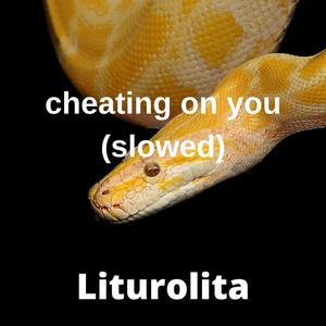 97人妻人人澡人人爽人人澡人人学生
